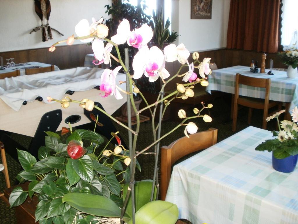 Hotel Pez Ault Дизентис Экстерьер фото